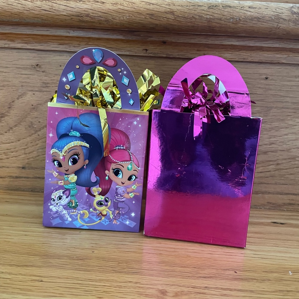 Shimmer and Shine Party Themed Balloon Weights